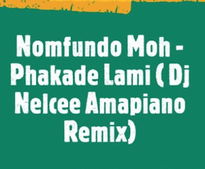 Nomfundo Moh - Phakade Lami ft. Sha Sha & Ami Faku ( Dj Nelcee Amapiano remix)