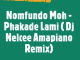 Nomfundo Moh - Phakade Lami ft. Sha Sha & Ami Faku ( Dj Nelcee Amapiano remix)